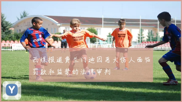 西媒报道费兰门迪因恶犬伤人面临罚款和监禁的法律审判